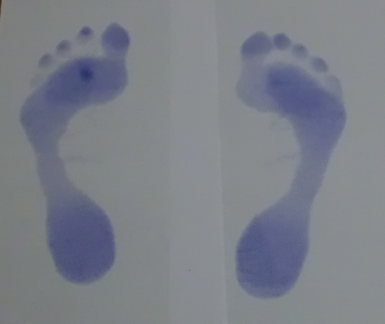 07 blauwdruk.JPG